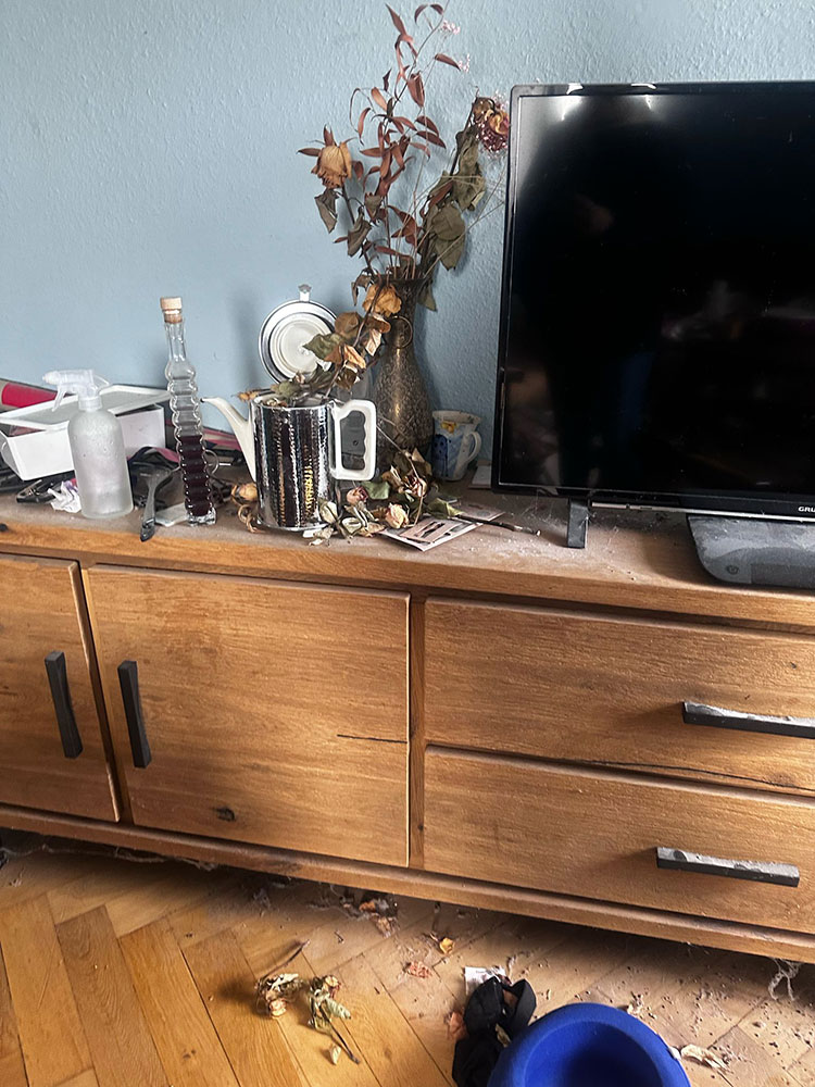 Unsere spannendsten Entrümpelungsfälle